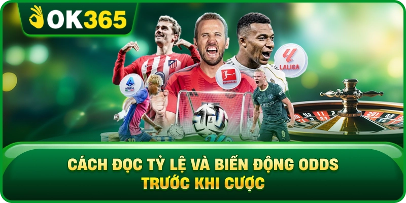 Cách Đọc Tỷ Lệ Và Biến Động Odds Trước Khi Cược