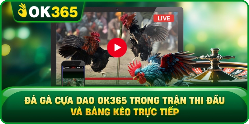 Đá Gà Cựa Dao OK365 – Luật Thi Đấu, Cửa Cược Và Cách Xem Trận 2 Đá Gà Cựa Dao OK365 – Luật Thi Đấu, Cửa Cược Và Cách Xem Trận Đá Gà Cựa Dao OK365 Trong Trận Thi Đấu Và Bảng Kèo Trực Tiếp