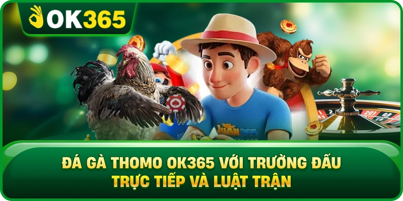 Đá Gà Thomo OK365 – Trường Đấu, Luật Trận Và Cách Theo Dõi Kèo 3 Đá Gà Thomo OK365 – Trường Đấu, Luật Trận Và Cách Theo Dõi Kèo Đá Gà Thomo OK365 Với Trường Đấu Trực Tiếp Và Luật Trận